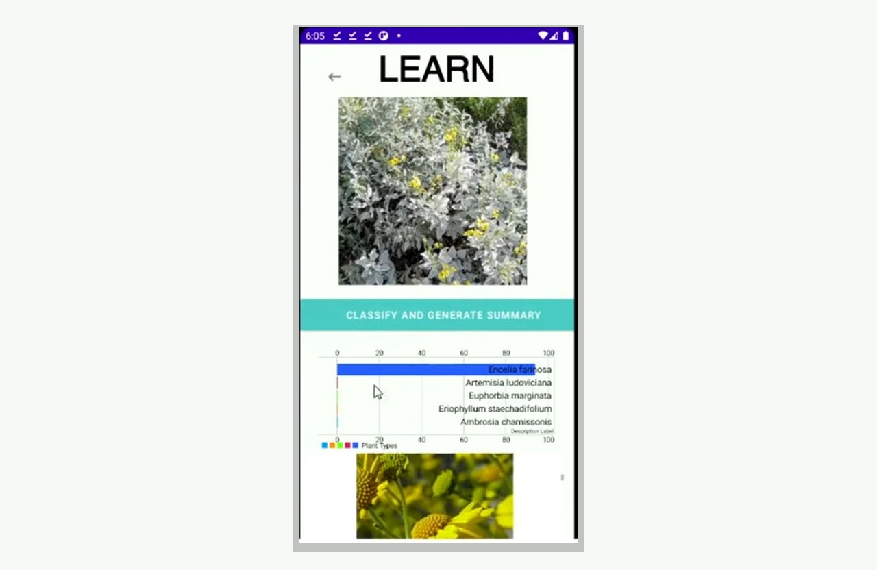 Flaurapedia plant identification and classification screen